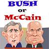 Bush or McCain?