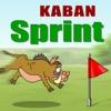 Kaban: Sprint